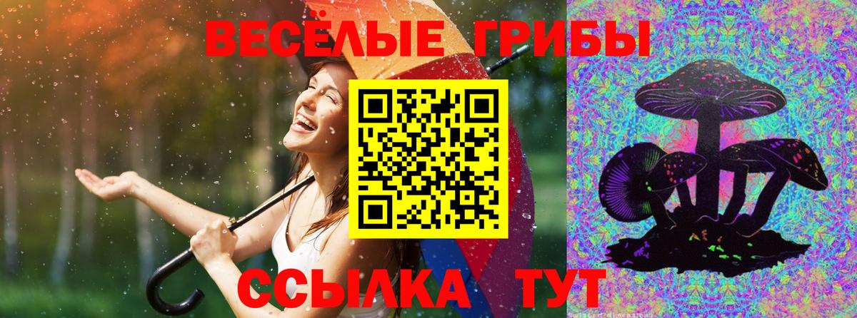 Тайшет  Галлюциногенные грибы Cubensis  Вход с VPN 