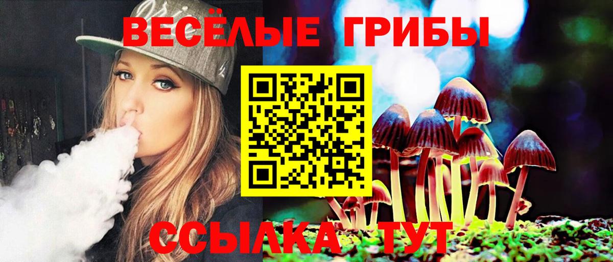 Галлюциногенные грибы мицелий Тайшет